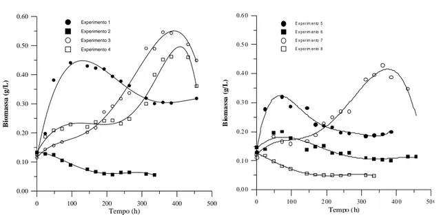 FIGURA 1 – Curvas de concentração de biomassa (g/L) versus tempo, para os experimentos do Planejamento Fato- Fato-rial Completo 2 3 ,do cultivo da Spirulina platensis utilizando efluente sintético