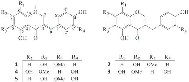 FIGURE 1  - Chemical structures of the isolated homoisolavonoids 1-5 from bulbs of the plant Scilla persica HAUSSKN