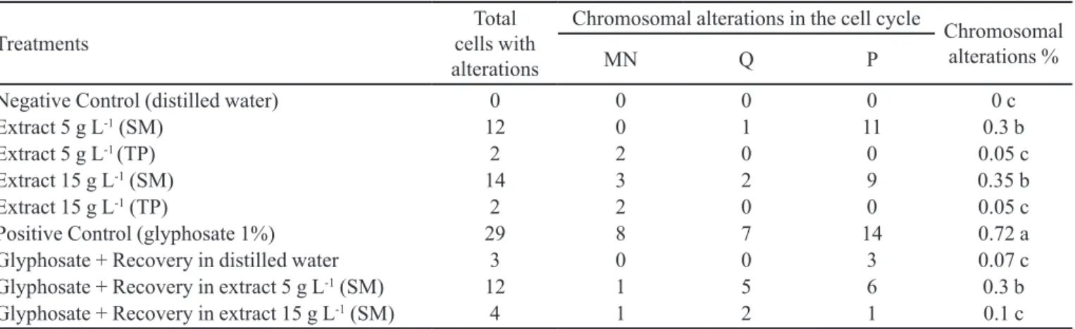 FIGURE 1 -  Chromosomal alterations in meristematic cells of Allium cepa roots a) Arrow indicates micronucleus in interphase; 