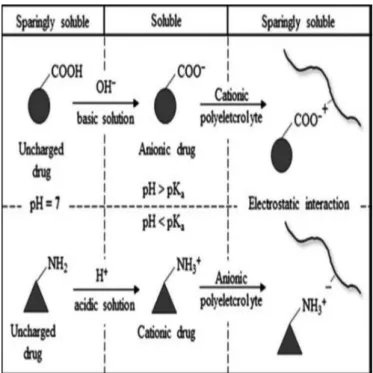 FIGURE 1  - Preparation of nanoplex.