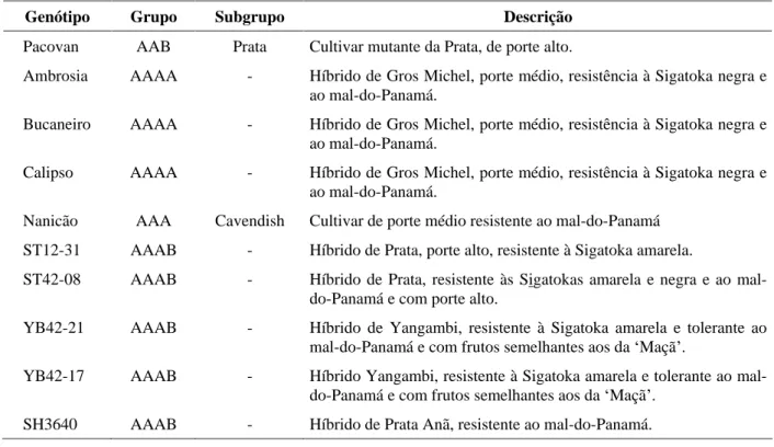 TABELA 1   Descrição dos genótipos de bananeira avaliados com Cruz das Almas, BA, 2000-2002