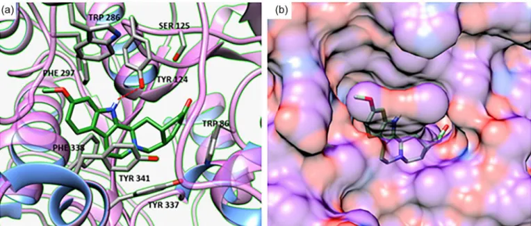 FIGURE 5  - (a) Docked binding mode of indole derivative 2 with AChE (PDB : 4EYZ); (b) The ligand molecule 2 buried in the  AChE active pocket.