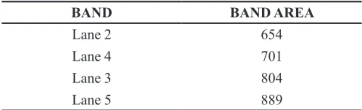 TABLE II  - Showing band areas by densitometric analysis of  Figure 4