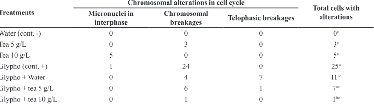 TABLE I  – Treatments with number of cells observed in different Allium cepa cell cycles