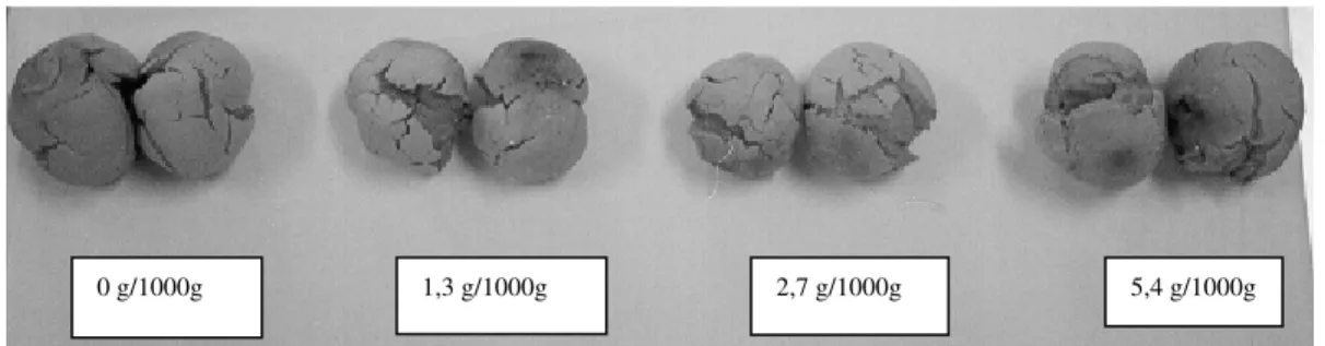FIGURA 3 –  Materiais de teste de féculas de biri modificadas com diferentes concentrações de ácido lático