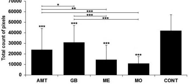 FIGURE 3  - Total count in pixels of GFAP immunoreactive astrocytes (represented as mean ± standard deviation) in the  mesencephalon from the diferent experimental groups (n=6 per group)