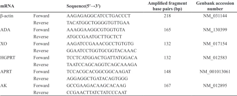 TABLE I  - Primer sequences for real-time PCR