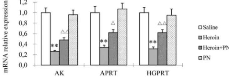 FIGURE 1  -  ADA and XO activities in rat cortex. *P<0.05 vs. 