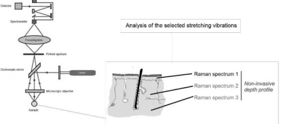 FIGURE 4  - Analysis using Raman confocal microscopy.