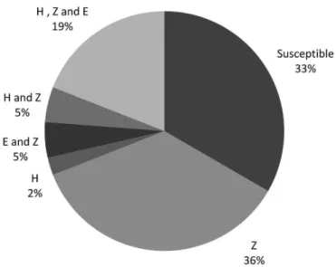FIGURE 2  -  Percentage of resistant strains by broth microdilution  method. Isoniazid (H), pyrazinamide (Z), ethambutol (E).