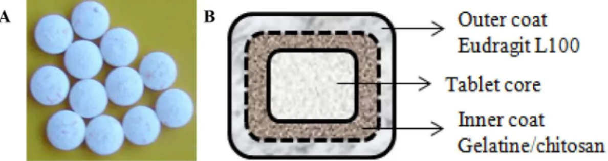 TABLE I  - Formulation design of ilm