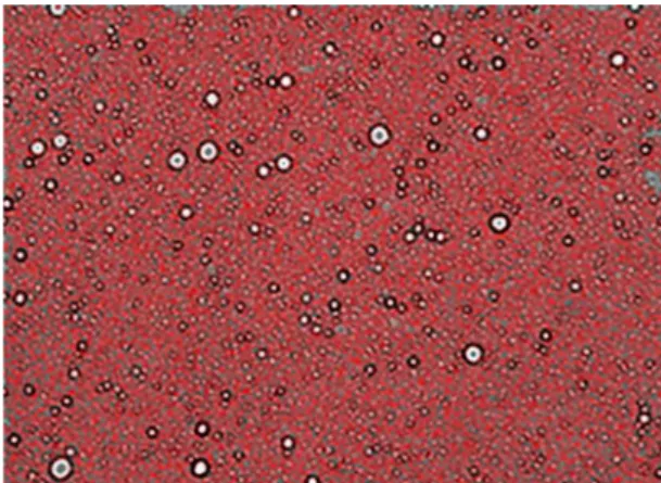FIGURE 1  -  Example of droplets counting in the emulsion’s  inner phase.