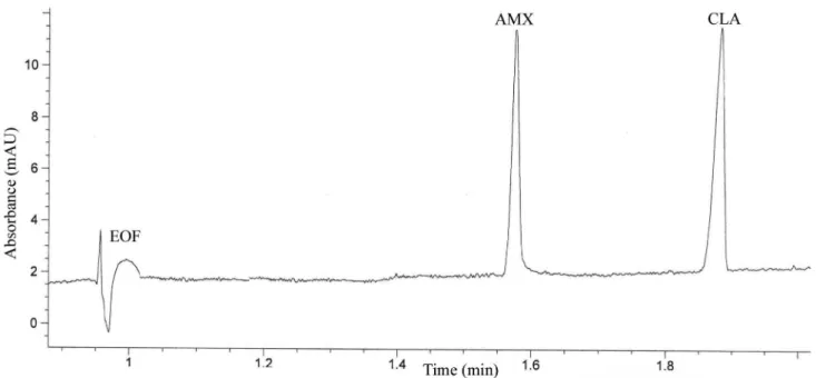 FIGURE 2  -  Capillary electrophoretic separation of AMX and CLA from mixture (experimental conditions: 25 mM sodium  tetraborate BGE, pH – 9.30, voltage + 25 kV, temperature 25  o C, hydrodynamic injection 50 mbar/1 sec., sample concentration  10 µg mL -1