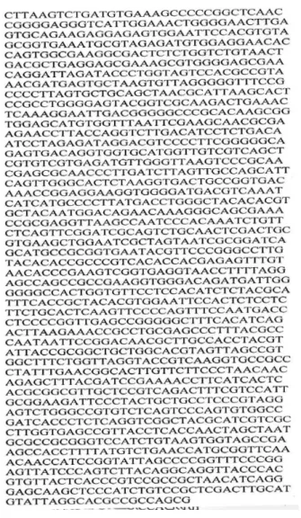 FIGURE 1  - The 16S rRNA sequence generated for isolate-1  had 1425 bases. 