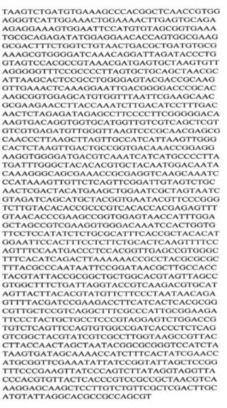 FIGURE 5  - The 16S rRNA sequence generated for isolate-3  had 1822 bases. 