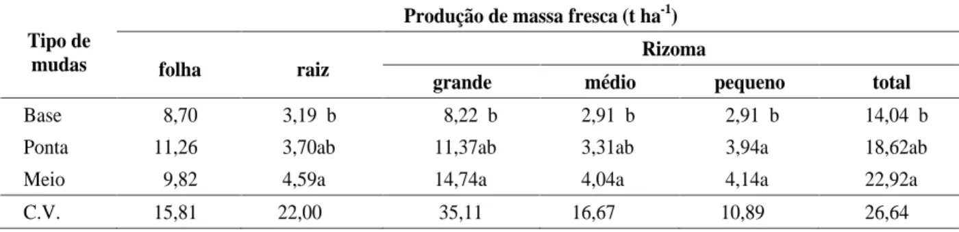 TABELA 1    Produção de massa fresca de folha, raiz e rizoma de plantas da araruta  Comum , em função de três tipos de propágulos