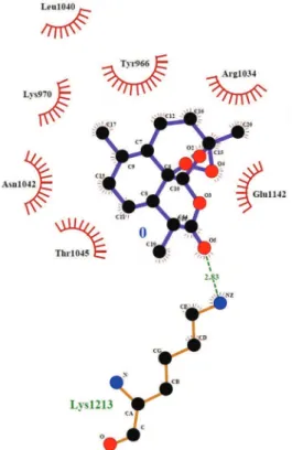 FIGURE 7  - Artemisinin docking pocket.