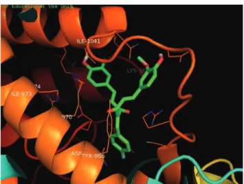 Table III shows the ADME and toxicity proiles of  the compounds which were analyzed using PreADMET  and FAFdrugs3 online software
