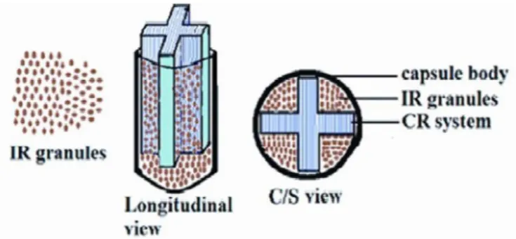 FIGURE 3  - Bifunctional capsular dosage form consisting of  CR gastroretentive system of clarithromycin and IR granules  of ranitidine HCl.