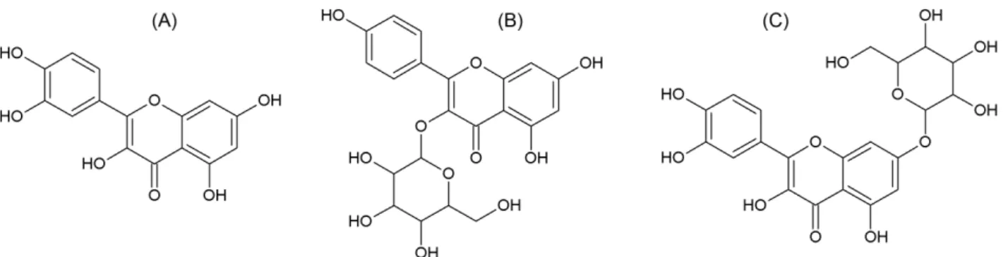 FIGURE 1  - Chemical structures of (1A) quercetin, (1B) astragalin and (1C) quercetin 7.