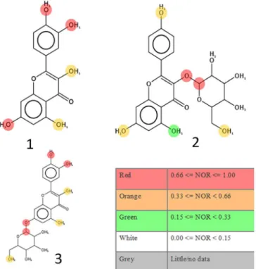 FIGURE 2  - Metabolic transformations of (1) quercetin, (2)  astragalin and (3) quercetin 7.