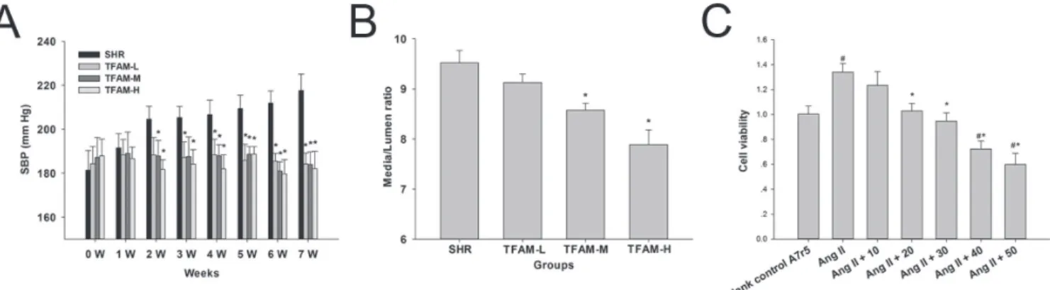 FIGURE 1  - TFAM ameliorated the hemodynamic and physical parameters in spontaneously hypertensive rats, and suppressed  Ang II-induced A7r5 cell proliferation in Vitro