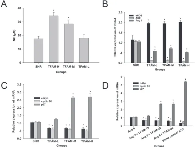 FIGURE 2  -  Efects of TFAM on the serum nitric oxide level, and expressions of RAS and proliferation related genes in vascular  smooth muscle cells