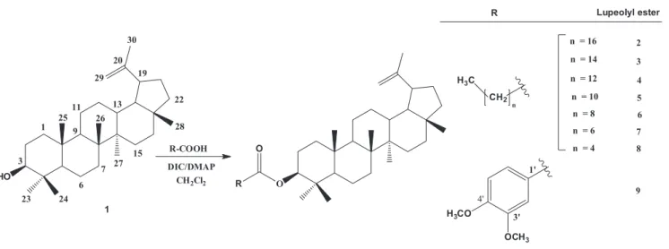 FIGURE 1  -  Scheme of lupeol ( 1 ) esteriication using DIC/DMAP reagents, to obtain lupeol esters  2 to 9.