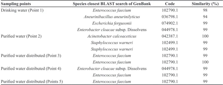 TABLE V  - Values of the apolar (∆G SAS LW ) and polar (∆G SAS AB  )  components and of the total free energy of interaction (∆G SAS TOT  )  the isolated bacteria and the surface