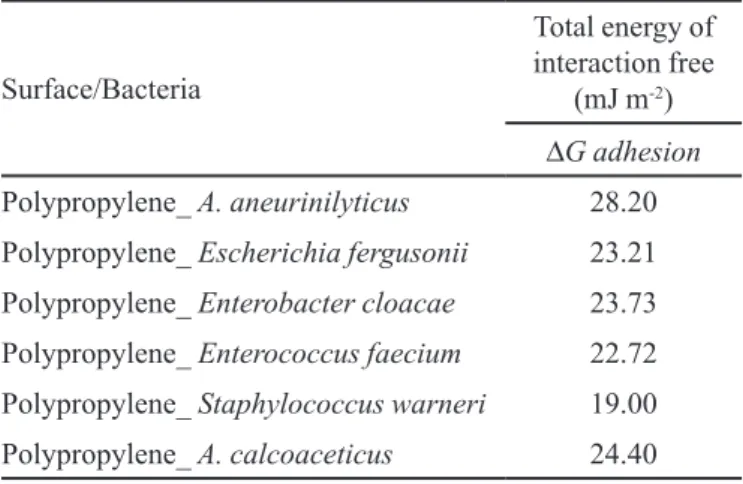 TABLE VI  - Values of free energy of adhesion (∆G adhesion)  between the isolated bacterial cells (b) and the surface of the  loop distribution (polypropylene) (s) in an aqueous medium (l)