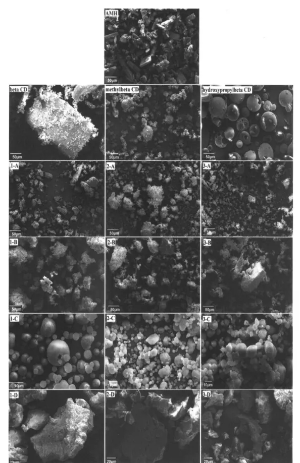 FIGURE 4  - Scanning Electronic Microscopy of AMH, beta-CD, methylbeta-CD, hydroxypropylbeta-CD, AMH/beta-CD/PM (1A),  AMH/beta-CD/CE (1B), AMH/beta-CD/SD (1C), AMH/beta-CD/FD (1D), CD/PM (2A),  AMH/methylbeta-CD/CE (2B), AMH/methylbeta-CD/SD (2C), AMH/met