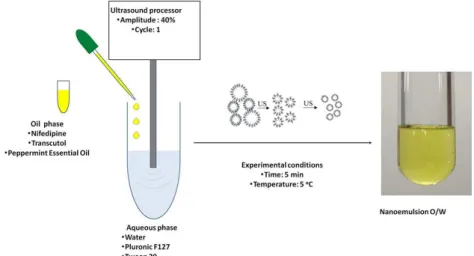 FIGURE 1  - Preparation of nanoemulsion by high-energy method.