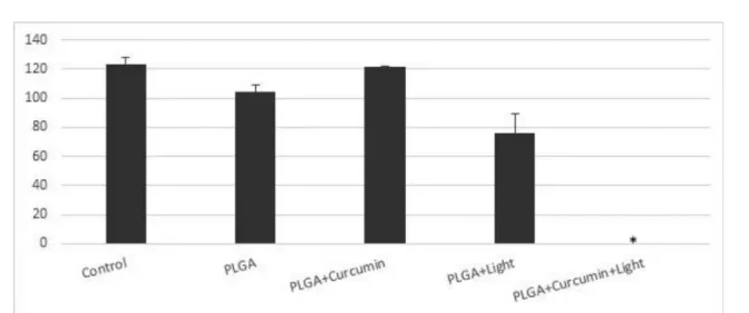 FIGURE 5  - Efects of antimicrobial photodynamic therapy (aPDT) with PLGA NPs against Staphylococcus epidermidis ATCC  12228 in each of the following treatment groups: control (no NPs and no light), PLGA (empty NPs without light), PLGA+curcumin  (NPs witho