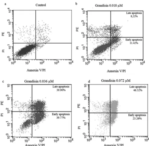 FIGURE 4  - Analysis of K562 cells treated with grandisin(1 x 10 6  cells/mL) for 24 hours