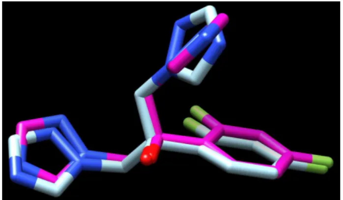 FIGURE 2  - The 3D diagram showing the interaction between the 1EA1.pdb structure and compound 18 (sticks, blue) overlaid on  luconazol FCZ x-ray ligand (stick, orange).
