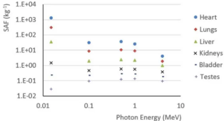 FIGURE 3  - Coronal slices from Amide ®  software presenting the absorbed doses (left side) and relative errors (right side) distribution  pattern for 15 keV, 100 keV, 500 keV, 1 MeV or 4 MeV photon emitted at heart