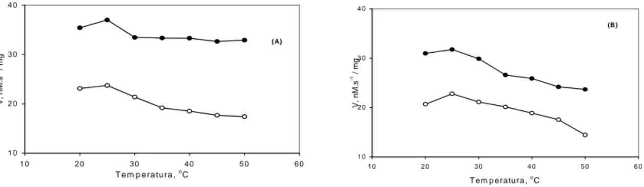 FIGURA 2  Atividade específica de lipoxigenases de folhas de soja, cultivar IAC-100 (A) e genótipo IAC-100 TN  (B), em vários valores de temperatura