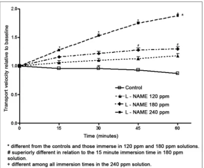 Figure 2. Relative velocity of mucociliary transport in frog palates  immersed in RingerR’s solution (controls) or in L-NAME solutions.
