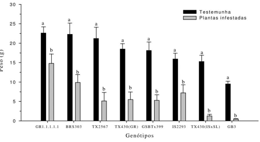 FIGURA 1 – Peso fresco (± EP) de genótipos de sorgo infestados com 25 adultos de Rhopalosiphum maidis em re-