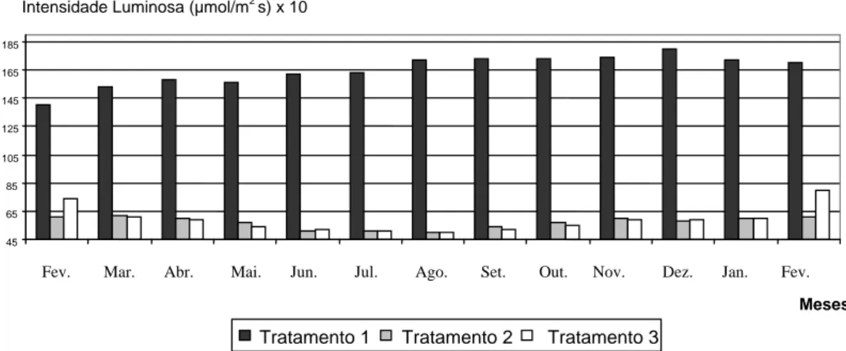 FIGURA 1  Gráfico indicativo dos valores médios de intensidade luminosa dos três tratamentos instalados (trata- (trata-mento 1  alta intensidade luminosa, tratamento 2  baixa intensidade luminosa, tratamento 3  intensidade  lumino-sa natural)