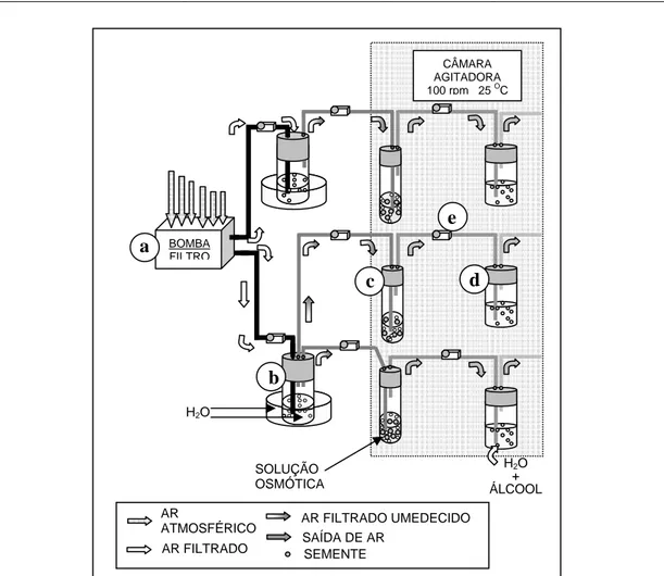 FIGURA 1 – Esquema de funcionamento do sistema de pré-condicionamento fisiológico de sementes de cenoura  com assepsia