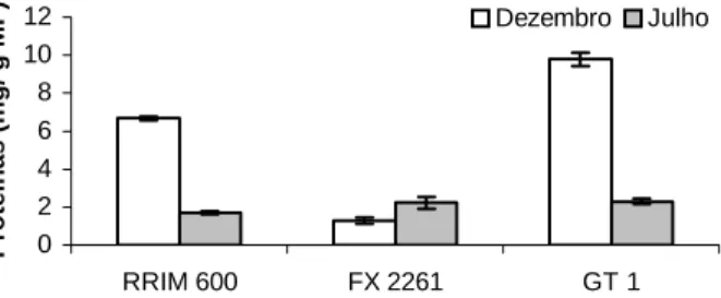FIGURA 7 – Teores de proteínas totais em lâminas foliares de clones de seringueira nos meses de dezembro de 