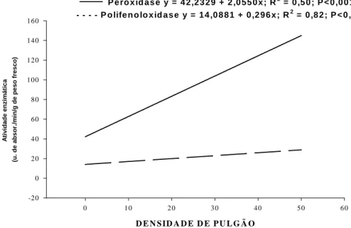 FIGURA 1 – Efeito da densidade populacional do pulgão-verde Schizaphis graminum na atividade das enzimas pe- pe-roxidase e polifenoloxidase