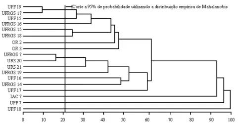 FIGURA  4  Dendrograma  representativo  da  dissimilaridade  genética  entre  os  genótipos,  sem  aplicação  de  fungicida,  obtida  pelo  método  hierárquico  do  vizinho  mais  próximo,  utilizando  D 2  como  medida  de  dissimilaridade