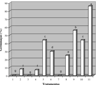 FIGURA 1  Germinação de sementes de Smilax japecanga  promovidas pelos tratamentos para quebra de dormên- dormên-cia - 1: controle; 2: escarificação mecânica com esmeril; 3: escarificação química com H 2 SO 4  (98%), por 30 