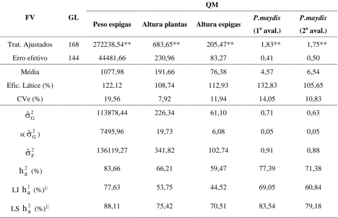 TABELA 1  Resumo das análises de variância e estimativas de parâmetros genéticos e fenotípicos para produtivi- produtivi-dade  de  espigas  despalhadas  (g/parcela),  altura  de  plantas,  espigas  (cm)  e  notas  de  incidência  de  Phaeosphaeria 