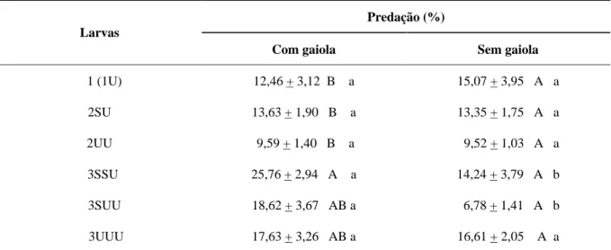 TABELA 1  Porcentagem de ninfas ( EP) de 3 o e 4 o ínstares de Uroleucon ambrosiae predados  por larvas de 1 o (1U), 2 o (2SU e 2UU) e 3 o (3SSU, 3SUU e 3UUU) ínstares de Chrysoperla  externa confinadas ou não em gaiolas,  no período de 48 h em casa-de-veg