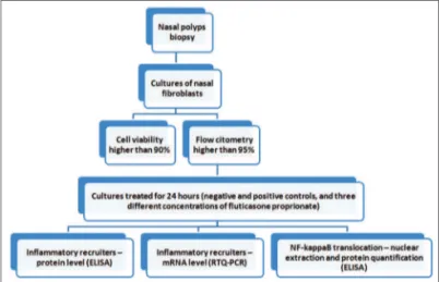 Figure 1. Fluxogram of the study protocol