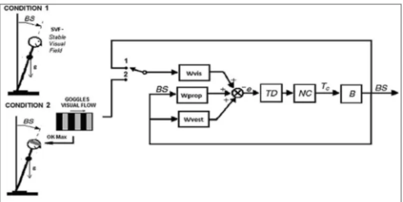 Figure 1. Model of the postural control system - (BS) Body-in-space  is  the  angular  desviation  from  the  vertical,  (B)  human  body  as  an  inverted pendulum, (NC) Neuromuscular controller, (TD) Time Delay  and Wvis, Wprop, Wvest weighting factors o
