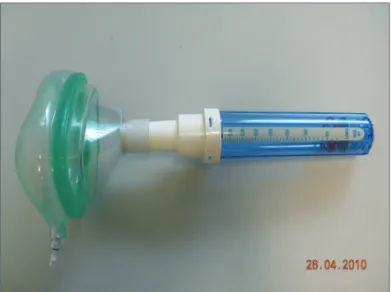 Figure 2. NIPF application.